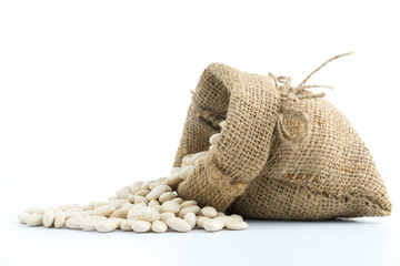 Fototapeta na wymiar white beans on a sack vegetarian food