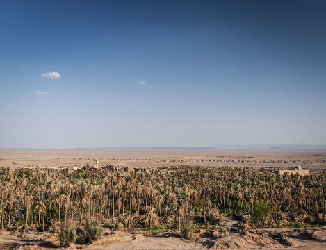 desert landscape view in garmeh oasis southern iran
