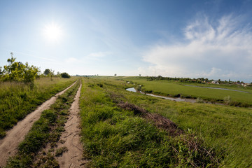 Fototapeta premium Countryside landscape in the summer 