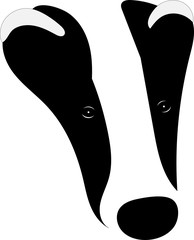 Eurasian badger © luis sandoval