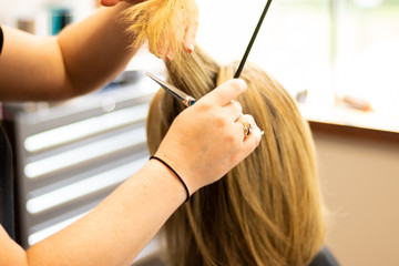 Woman with blonde hair and highlights receiving a hair cut by a master hair stylist at a salon