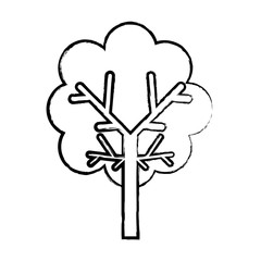 tree icon image