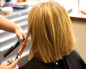 Blonde woman with highlights having hair cut by a master stylist in a salon. 