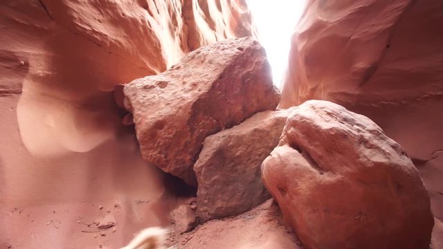 Small Terrier Dog Jumping Over Rocks In the Desert
