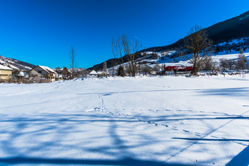 Fototapeta na wymiar Cold morning winter with fresh snow