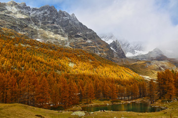 Alpi, Italia - Lago Blu in autunno
