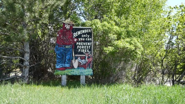Only you can prevent forest fire.