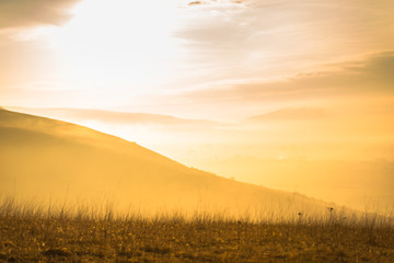 Morning fog in the springtime