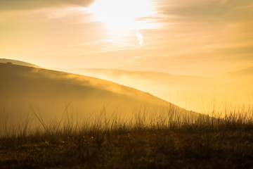 Morning fog in the springtime