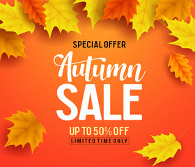 Autumn sale vector banner background with fall leaves elements, autumn typography and discount text in orange background. Vector illustration.
