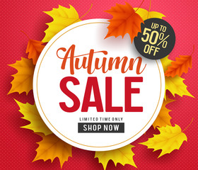 Autumn sale vector background banner template with white circle space for text and maple leaves elements for fall seasonal discount promotion. Vector illustration.
