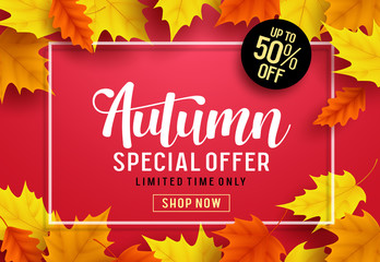 Autumn vector banner template with special offer text, maple leaves and white frame in red background for fall seasonal shopping discount promotion. Vector illustration.
