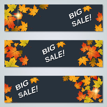 Big sale banner, coupon, gift voucher, sticker vector collection