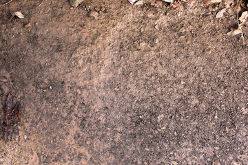 ground texture photo