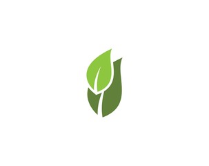 Tree leaf vector logo design, eco-friendly concept.