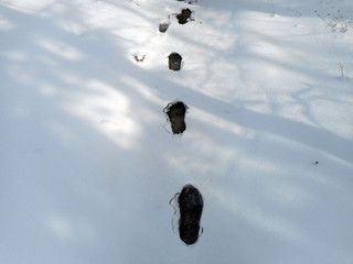 Footprints in snow