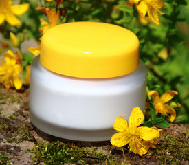 cremedose   Echtes Johanniskraut