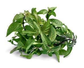 Fresh basil leaves - isolated image