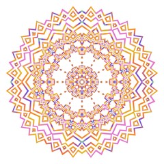 Vector Ornamental Seamless floral Pattern. Endless Texture. Geometric Ornament. For the interior design, printing, web and textile, fashion print.