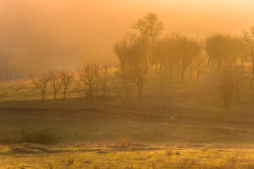 Misty fog