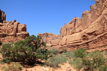 Fototapeta premium Arches national park in USA