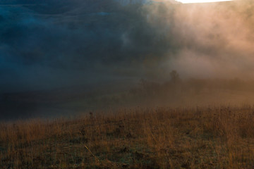 Fototapeta premium Misty fog