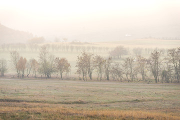 Fog on the morning