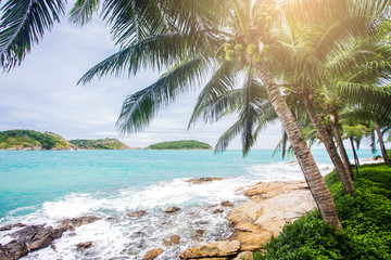 Fototapeta na wymiar Beach with palm trees and white sand