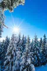 Winter landscape in the mountains
