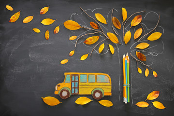 Back to school concept. Top view image school bus and pencils next to tree sketch with autumn dry...