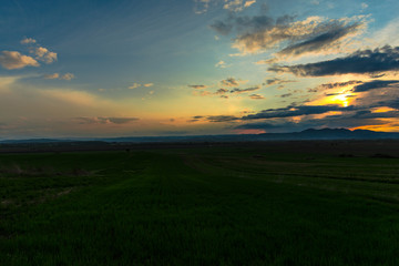 sunset over the field