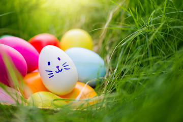 Row of Easter eggs in Fresh Green Grass