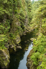 clear water running through creek under the canyon surround by forest