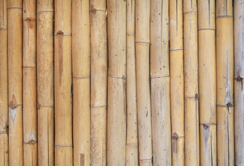 Golden bamboo fence background.

