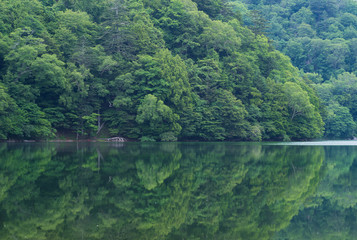 Fototapeta na wymiar View of Lake Yunoko in summer season, Nikko, Tochigi,Japan