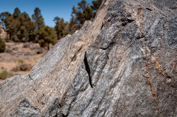 Nelson Ridge