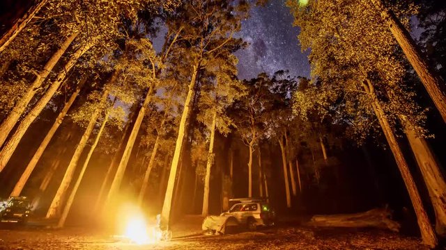 Campfire and Stars over Blue Mountains National Park, NSW, Australia