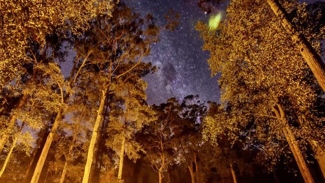 Campfire and Stars over Blue Mountains National Park, NSW, Australia Timelapse