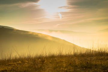 Obraz premium Morning fog in the autumn season