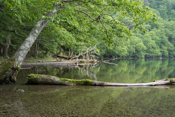 View of Lake Yunoko in summer season, Nikko, Tochigi,Japan