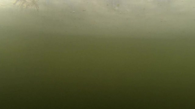 A camera is sent slowly down a hole in the ice, made for ice fishing, then its slowly raised up again, giving the effect of maybe bait going into the water or a fish coming out of the water.