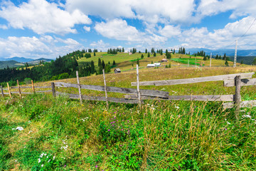 Obraz premium rural landscape with green field and blue sky