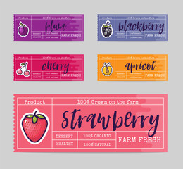 Jam packing design, for summer and autumn, fruits and berries of blackberries, plums, cherries, strawberries, apricots. And as you can use as web elements for the site and blog.