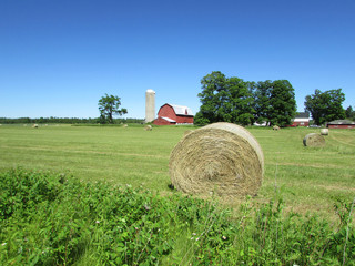 Bale of hay on a farm on Michigan's Upper Peninsula near Escanaba © John