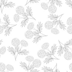 Marigold Outline Seamless on White Background