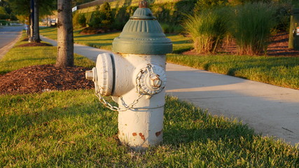 Fire Hydrant at Sunset Profile Horizontal