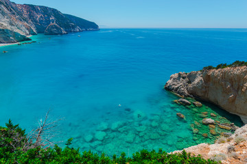 Fresh snow in forest