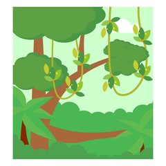 green forest jungle trees nature scenery landscape background