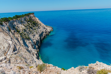 Fresh snow in forest