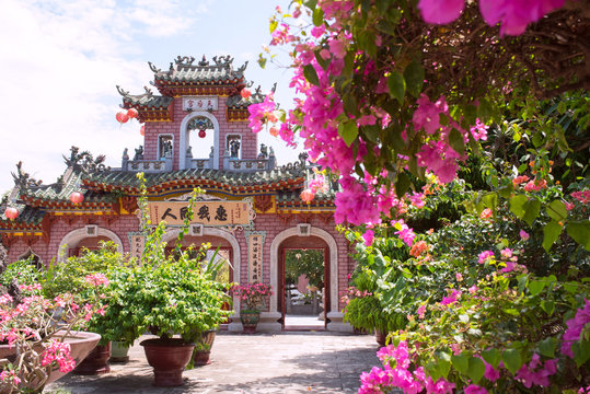 Phuc Kien Assembly Hall & bougainvillea flowers in Hoi An, Vietnam　ホイアンの福建会館とブーゲンビリア